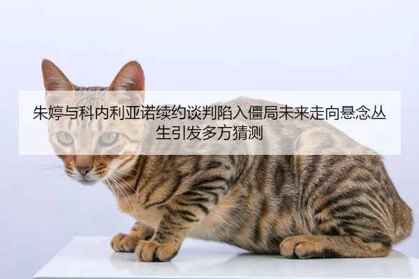zhu-ting-yu-ke-nei-li-ya-nuo-xu-yue-tan-pan-xian-ru-jiang-ju-wei-lai-zou-xiang-xuan-nian-cong-sheng-yin-fa-duo-fang-cai-2-837.jpg