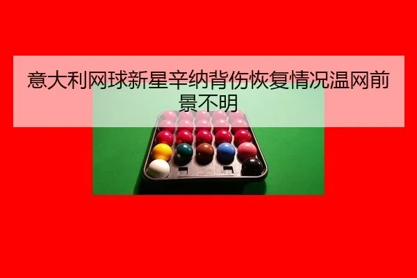 yi-da-li-wang-qiu-xin-xing-xin-na-bei-shang-hui-fu-qing-kuang-wen-wang-qian-jing-bu-ming-3-301.jpg