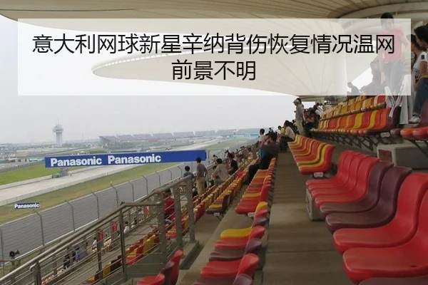 意大利网球新星辛纳背伤恢复情况温网前景不明