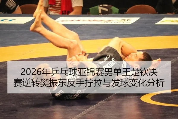 nian-ping-pang-qiu-ya-jin-sai-nan-dan-wang-chu-qin-jue-sai-ni-zhuan-fan-zhen-dong-fan-shou-ning-la-yu-fa-qiu-bian-hua-3-440.jpg